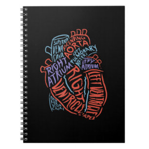 Caderno Espiral Biologia Médica de Anatomia Especialista em Cora