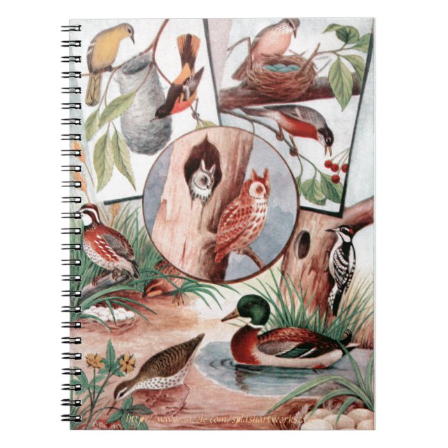 Caderno Espiral "Bird Combo" (Frente)
