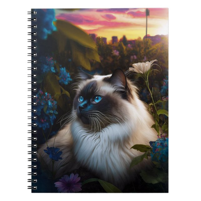 Caderno Espiral Birman Cat no Jardim Municipal no Sundown Notebook (Frente)