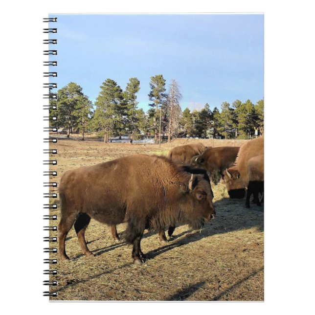 Caderno Espiral Bison no Colorado (Frente)