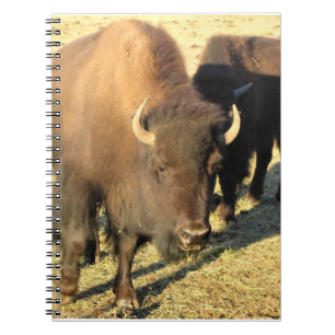Caderno Espiral Bison no Colorado