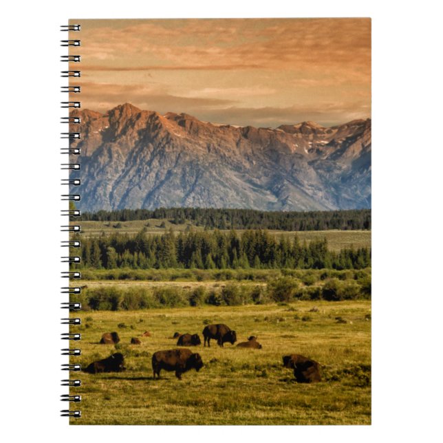Caderno Espiral Bison no Sunrise (Frente)