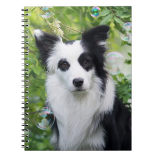 Caderno Espiral Black and White Border Collie
