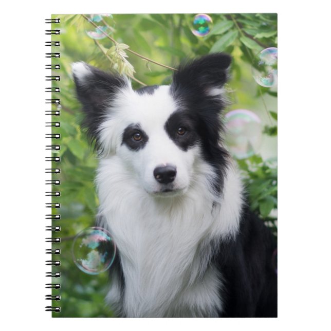 Caderno Espiral Black and White Border Collie (Frente)