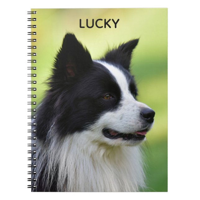 Caderno Espiral Black and White Border Collie Dog (Frente)