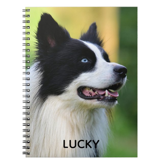 Caderno Espiral Black and White Border Collie Dog (Frente)