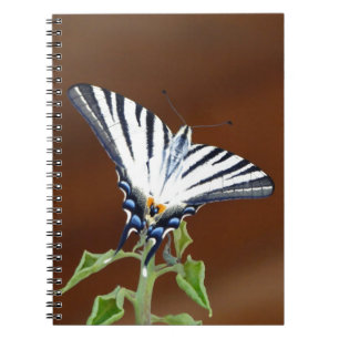 Caderno Espiral Black and White Striped Fantail Butterfly