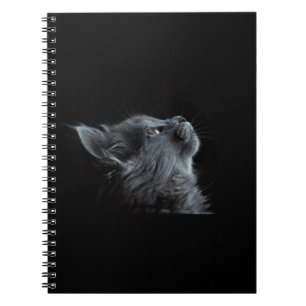 Caderno Espiral Black Cat