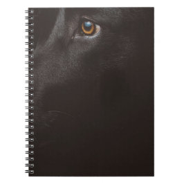 Caderno Espiral black lab