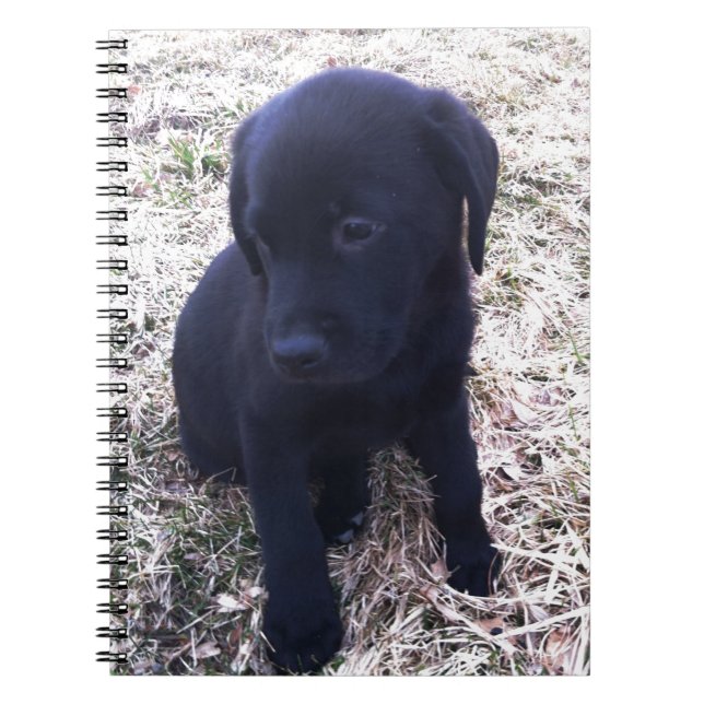 Caderno Espiral Black Labrador Retriever Puppy (Frente)