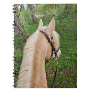 Caderno Espiral Bloco de anotações