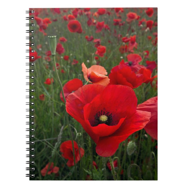 Caderno Espiral Bloco de Anotações de Campo Poppy (Frente)