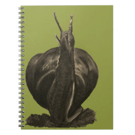 Caderno Espiral Bloco de Anotações de Desenho Simples (80 Páginas
