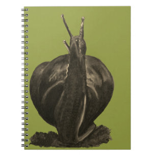 Caderno Espiral Bloco de Anotações de Desenho Simples (80 Páginas 