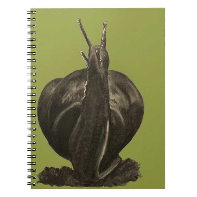 Caderno Espiral Bloco de Anotações de Desenho Simples (80 Páginas  (Frente)