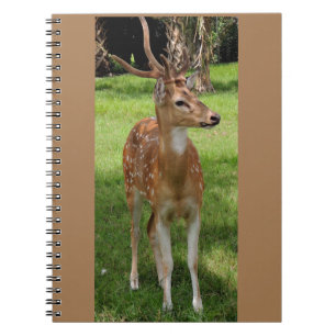Caderno Espiral Bloco de cervejas