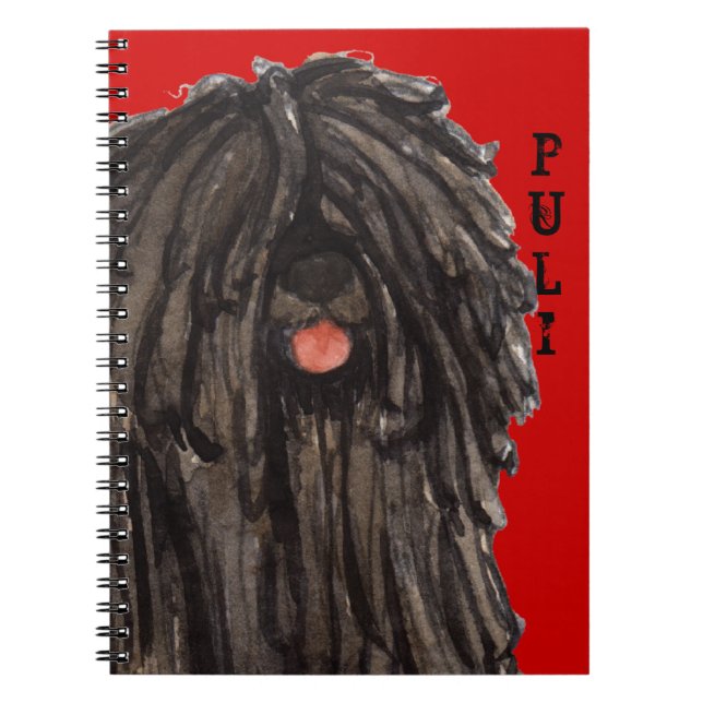 Caderno Espiral Bloco de Cor do Puli (Frente)