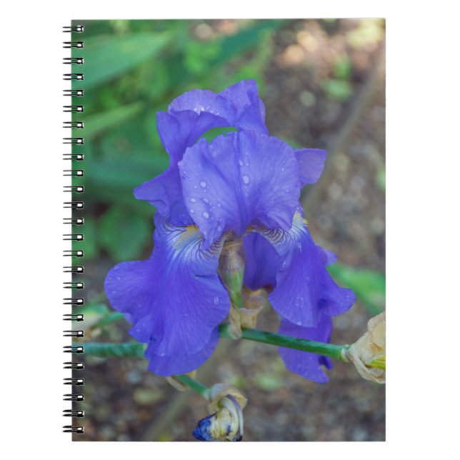 Caderno Espiral Bloco de flores da íris azul (Frente)