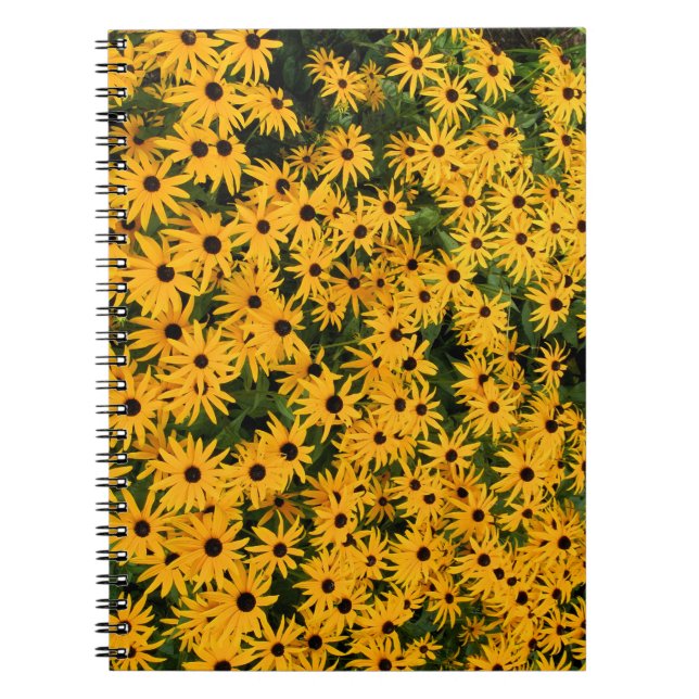 Caderno Espiral Bloco de Notas Amarelo do Daisies (Frente)