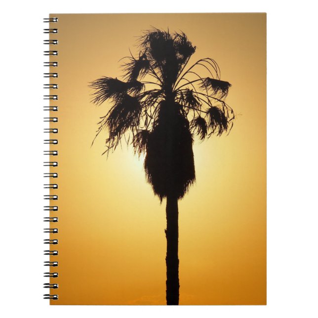 Caderno Espiral bloco de notas australiano Fan Palm (Frente)