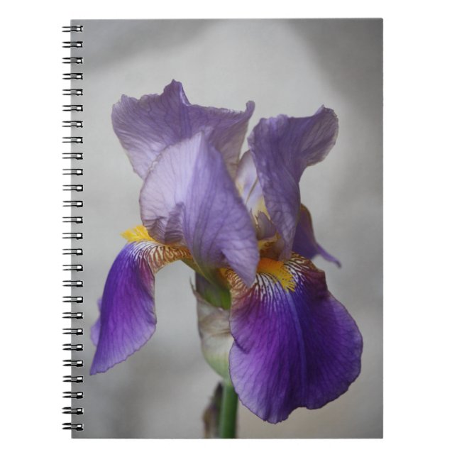 Caderno Espiral Bloco de notas da íris com barba roxa (Frente)