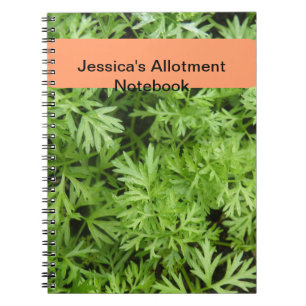Caderno Espiral Bloco de Notas de Alojamento de Tops de Cenoura