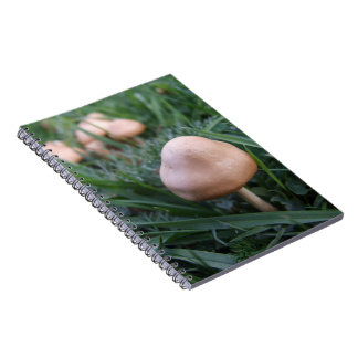 Caderno Espiral Bloco de Notas de Cogumelos