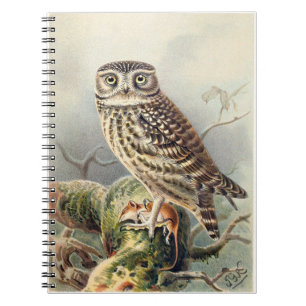 Caderno Espiral Bloco de notas de coruja pequena