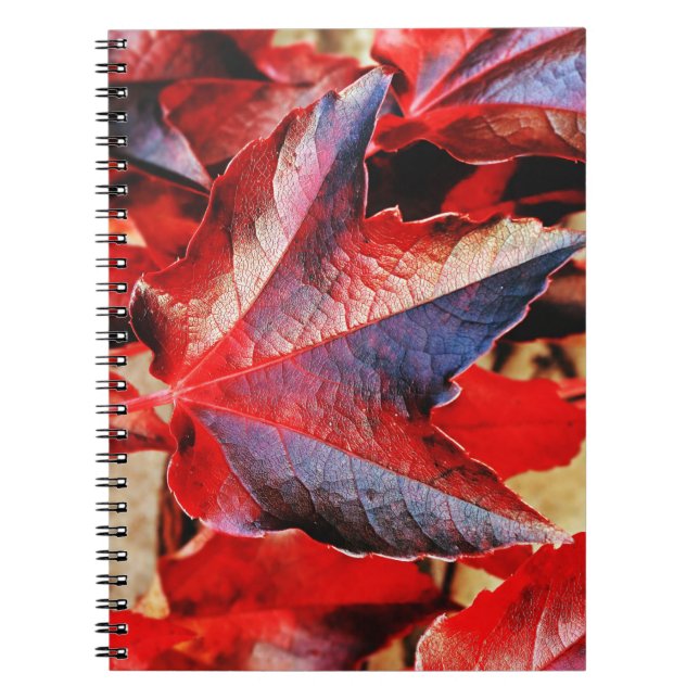 Caderno Espiral Bloco de Notas de Foto (80 Páginas B&W) (Frente)