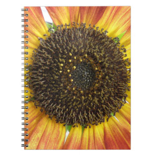 Caderno Espiral Bloco de notas de girassol laranja
