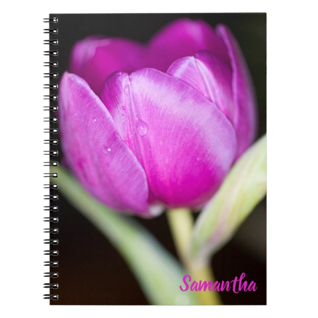 Caderno Espiral Bloco de notas de tulipa púrpura (Frente)