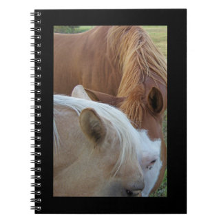 Caderno Espiral Bloco de Notas dos Ponies