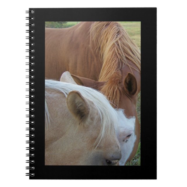 Caderno Espiral Bloco de Notas dos Ponies (Frente)