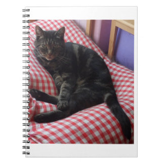 Caderno Espiral Bloco de Notas Espiral Bonito Dave