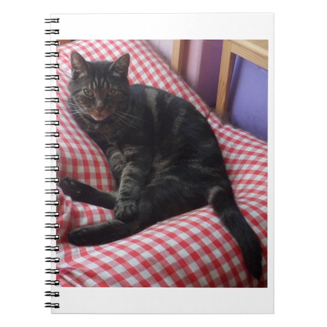 Caderno Espiral Bloco de Notas Espiral Bonito Dave (Frente)