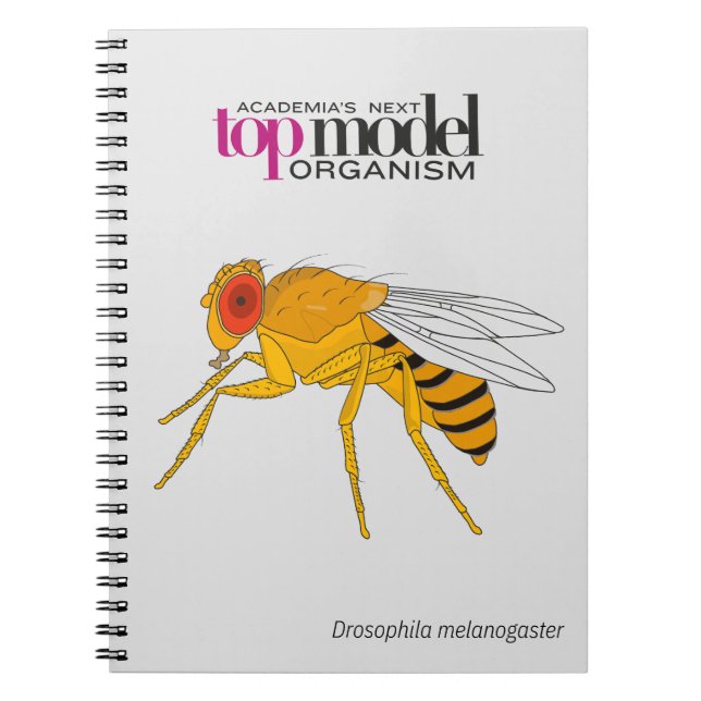 Caderno Espiral Bloco de notas espiral Drosophila (Frente)