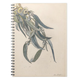 Caderno Espiral Bloeiende tak van een eucalyptus