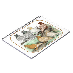 Caderno Espiral Blondinetes Clássicos
