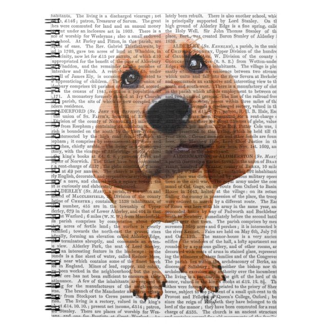 Caderno Espiral Bloodon Puppy (Frente)