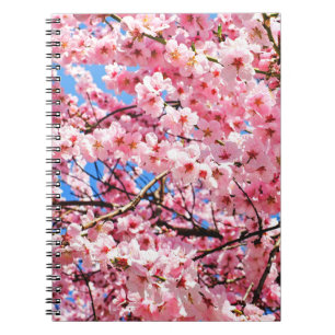 Caderno Espiral Blossomas de Cereja Japoneses