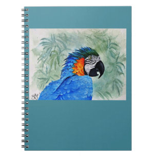 Caderno Espiral Blue and Gold Macaw