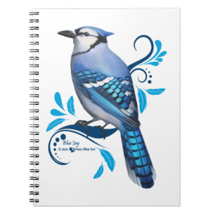 Caderno Espiral Blue Jay