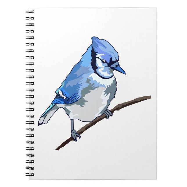 Caderno Espiral Blue Jay (Frente)