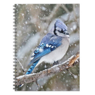 Caderno Espiral Blue Jay em uma tempestade de neve