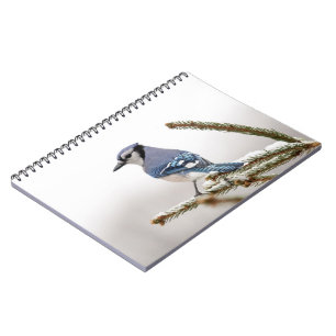 Caderno Espiral Blue Jay no inverno