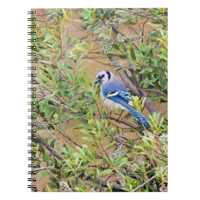Caderno Espiral Blue Jay sobre Myrtle da Cera do Sul (Frente)
