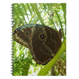 Caderno Espiral Blue Morpho Butterfly - Fotografia da natureza tro