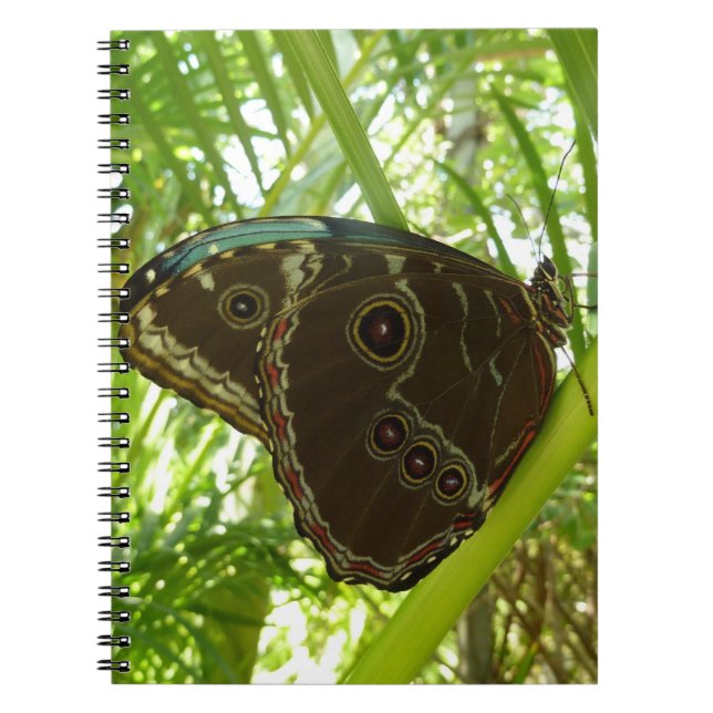 Caderno Espiral Blue Morpho Butterfly Nature Photoshop (Frente)