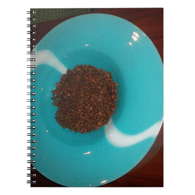 Caderno Espiral Blue Skeezer (Frente)