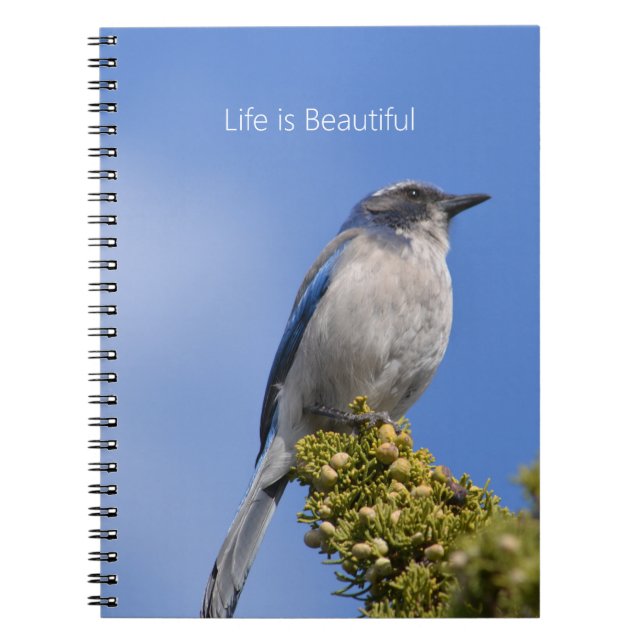 Caderno Espiral Blue Sky Bluebird Tree (my photography) (Frente)